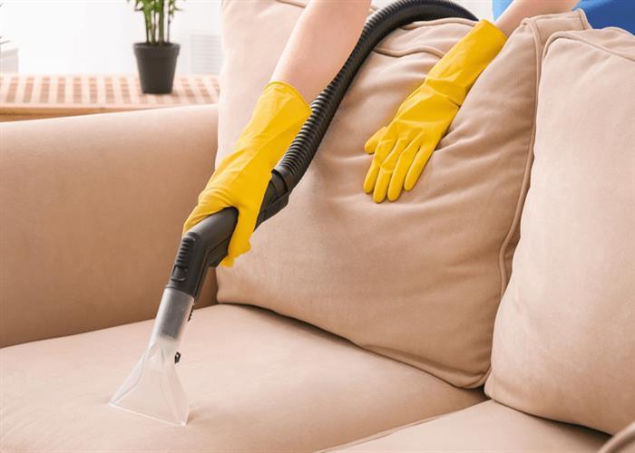 Upholstery Cleaning Services in Auckland